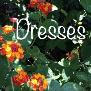 👗👗Dresses 👗👗